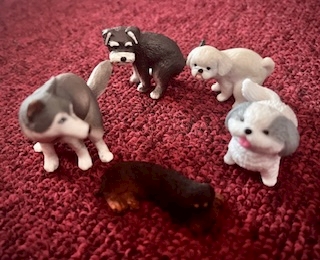 プロフィール写真11・惣流あすかはネガティブ界のポジティブ🐈‍⬛💨｜