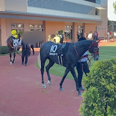 プロフィール写真3・ZUZU🐎なお|CLUB ZU-ZU・ズズ - 山形駅前・香澄町のキャバクラ