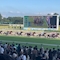 プロフィール写真4・ZUZU🐎なお|CLUB ZU-ZU・ズズ - 山形駅前・香澄町のキャバクラ
