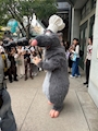 chiko