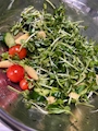 新着ブログ 草食動物目指す