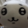 なぎさ