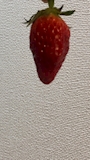 女の子