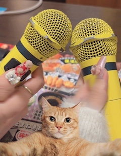 すず「カラオケ🎤🎵」