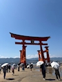 新着ブログ 久々の!
