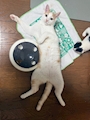chiko