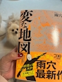 chiko