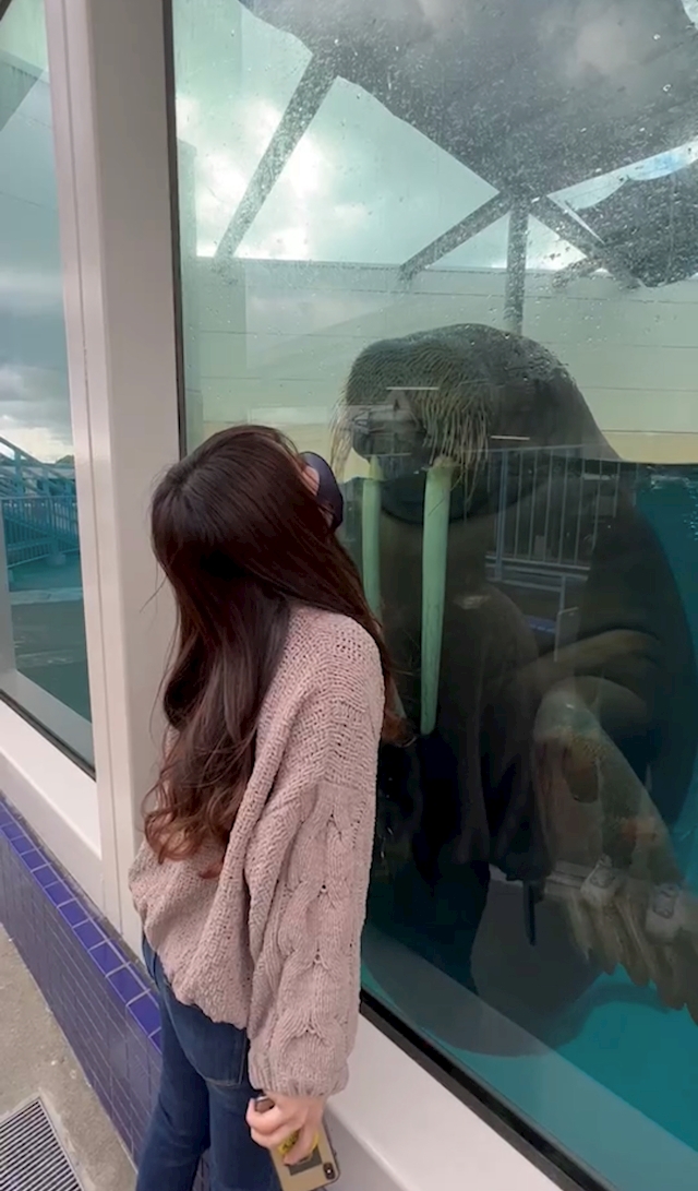 プロフィール写真1・ありさ｜