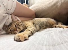 さつき🌍広島ユニバース
