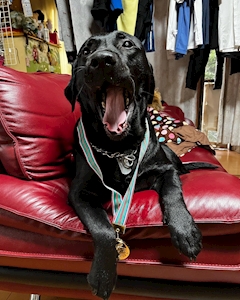 プロフィール写真2・りくと|LADIES MARKET・レディースマーケット - 岐阜 中津川のキャバクラ