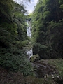 新着ブログ マイナスイオンほしいなー🌿