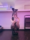 プロフィール写真3・いすず|Bunny Chance・バニーチャンス - 寝屋川・香里園のガールズバー