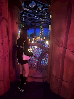 しばらくお休みです😢