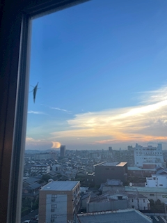 まお⚽️「金曜日！本日もいます🐰↕️🌸」