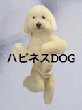 女の子の名前