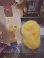 新着ブログ 🐥🧶