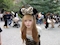 プロフィール写真15・🦑しおからさん🦑【TinkTink】|TinkTink・ティンク ティンク - 秋葉原のコンカフェ