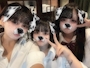 chiko