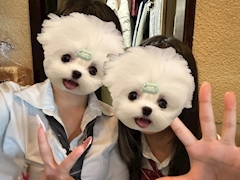 あこ「たい！」