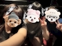 chiko
