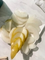 新着ブログ 🍐