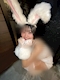 プロフィール写真2・ここ|ガールズバー OWL・アウル - 東村山のガールズバー