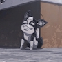 chiko