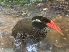 プロフィール写真1・スタッフ🎯 MONA｜CLUB MONA・モナ - 松山のキャバクラ