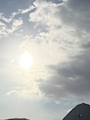 新着ブログ おはようございます⏰✨いいお天気🌞