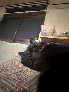 れーな