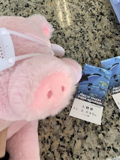 プロフィール写真7・みさき(999)｜宴HIME・ウタヒメ - 鶯谷のガールズバー