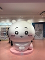 chiko
