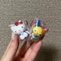 chiko