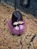 女の子の名前