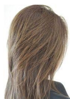 シュウシュウ👑Days👑