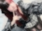 プロフィール写真7・にこ|Mermaid Lagoon・マーメイドラグーン - 横浜西口のガールズバー