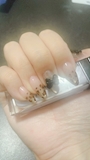 新着ブログ 1023