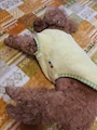 chiko