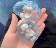 16時～います🦦💕