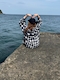 プロフィール写真18・れい🐶🖤｜スナック M's・エムズ - 湯島のパブ/スナック