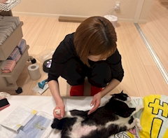 あや「🐾🐈‍⬛」