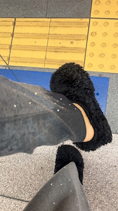 くるみ「〖79〗☔️」