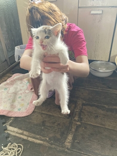 プロフィール写真10・ゆか♡｜Club 摩天楼・マテンロウ - 静岡 両替町のキャバクラ