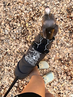 もえ「出勤22:30～」