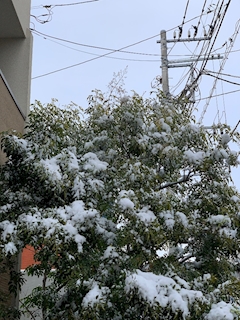 K「お店やってます！」