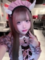 あずにゃんこ大先生