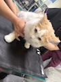 聚帝夢