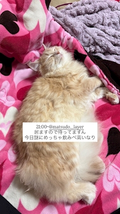 あゆみ