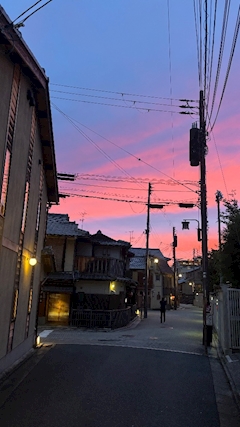 あや