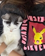 chiko